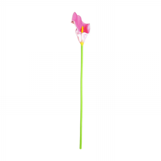 ���  ��� 11 ����