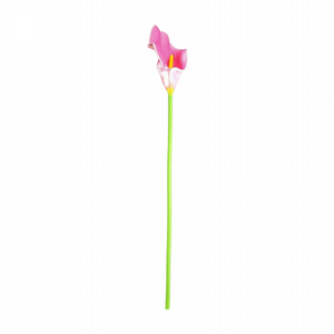 ���  ��� 11 ����